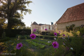 Kitchen Garden